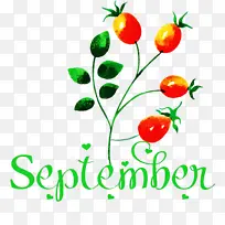 你好 九月 垃圾食品-空若网 你好 九月 垃圾食品-空若网