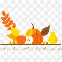 �ж��ڿ���-������