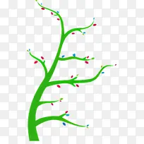 �ɰ����� ֲ�ﾥ Ҷ-������