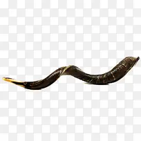 爬行动物 生物学 科学-空若网 爬行动物 生物学 科学-空若网