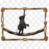 ��ѧ �̱� ��ͨ-������