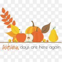 感恩节快乐-空若网 感恩节快乐-空若网