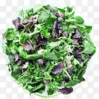 菠菜 素食 叶菜-空若网 菠菜 素食 叶菜-空若网