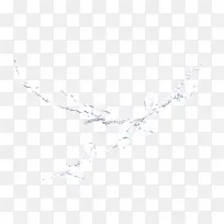 �� ��֦ ��-������