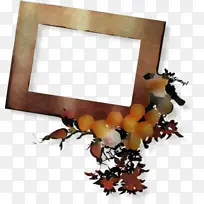 相框 昆虫-空若网 相框 昆虫-空若网