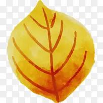 ˮ�ʻ����� ˮ�ʻ�Ҷ�� ˮ�ʻ�-������