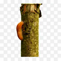 ��-������