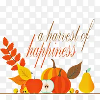 �ж��ڿ���-������