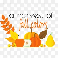 �ж��ڿ���-������