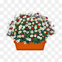 »¨»ÜÉè¼Æ »¨»Ü Ë®²Ê»-¿ÕÈôÍø »¨»ÜÉè¼Æ »¨»Ü Ë®²Ê»-¿ÕÈôÍø