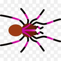 ��ͨ֩�� �� ����-������