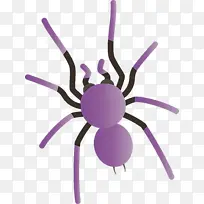 ��ͨ֩�� �������� ����-������