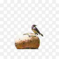 ���� � ��-������