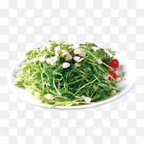 素菜豌豆-银杏豆-空若网 素菜豌豆-银杏豆-空若网