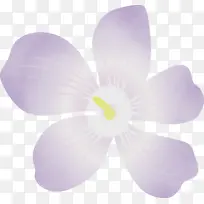 ×ÏÂÞÀ¼»¨ Ë®²Ê» ÑÕÁÏ-¿ÕÈôÍø ×ÏÂÞÀ¼»¨ Ë®²Ê» ÑÕÁÏ-¿ÕÈôÍø