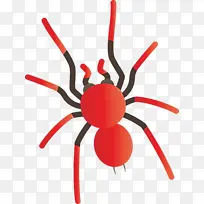 ��ͨ֩�� ���� ��������-������