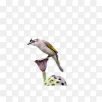 �� ȸ �-������