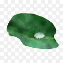 叶子 植物 植物结构-空若网 叶子 植物 植物结构-空若网