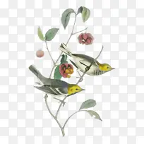 ֲ�ﾥ ���� ��-������