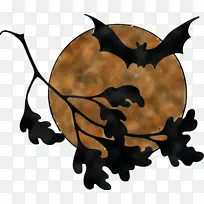 万圣节快乐 书籍 安得拉邦-空若网 万圣节快乐 书籍 安得拉邦-空若网