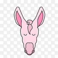 科科纳特湾 驴子早餐农场 餐厅-空若网 科科纳特湾 驴子早餐农场 餐厅-空若网