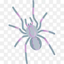 ��ͨ֩�� ��ѧ ����ѧ-������