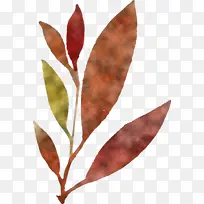 Ë®²Ê»ÇïÌì Ë®²Ê»ÇïÌìÒ¶×Ó Ë®²Ê»Ò¶×Ó-¿ÕÈôÍø Ë®²Ê»ÇïÌì Ë®²Ê»ÇïÌìÒ¶×Ó Ë®²Ê»Ò¶×Ó-¿ÕÈôÍø