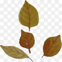 水彩画秋天 水彩画秋天叶子 水彩画叶子-空若网 水彩画秋天 水彩画秋天叶子 水彩画叶子-空若网