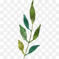 Ë®²Ê»ÇïÌì Ë®²Ê»ÇïÌìÒ¶×Ó Ë®²Ê»Ò¶×Ó-¿ÕÈôÍø Ë®²Ê»ÇïÌì Ë®²Ê»ÇïÌìÒ¶×Ó Ë®²Ê»Ò¶×Ó-¿ÕÈôÍø