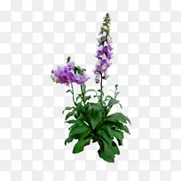 水彩画 颜料 湿墨-空若网 水彩画 颜料 湿墨-空若网