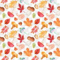 叶 花瓣 植物-空若网 叶 花瓣 植物-空若网