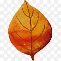 ��Ҷ ��Ҷ Ҷ-������