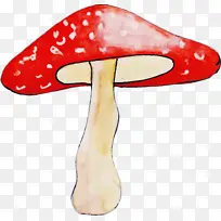 ˮ��Ģ�� Ь-������