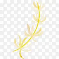 Ë®²Ê»ÇïÌì Ë®²Ê»ÇïÌìÒ¶×Ó Ë®²Ê»Ò¶×Ó-¿ÕÈôÍø Ë®²Ê»ÇïÌì Ë®²Ê»ÇïÌìÒ¶×Ó Ë®²Ê»Ò¶×Ó-¿ÕÈôÍø