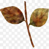 Ë®²Ê»ÇïÌì Ë®²Ê»ÇïÌìÒ¶×Ó Ë®²Ê»Ò¶×Ó-¿ÕÈôÍø Ë®²Ê»ÇïÌì Ë®²Ê»ÇïÌìÒ¶×Ó Ë®²Ê»Ò¶×Ó-¿ÕÈôÍø