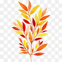 Ë®²Ê»ÇïÌì Ë®²Ê»ÇïÌìÒ¶×Ó Ë®²Ê»Ò¶×Ó-¿ÕÈôÍø Ë®²Ê»ÇïÌì Ë®²Ê»ÇïÌìÒ¶×Ó Ë®²Ê»Ò¶×Ó-¿ÕÈôÍø