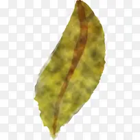 水彩画秋天 水彩画秋天的叶子 水彩画叶子-空若网 水彩画秋天 水彩画秋天的叶子 水彩画叶子-空若网