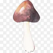 水彩蘑菇 紫色 蘑菇-空若网 水彩蘑菇 紫色 蘑菇-空若网
