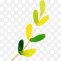 Ë®²Ê»ÇïÌì Ë®²Ê»ÇïÌìÒ¶×Ó Ë®²Ê»Ò¶×Ó-¿ÕÈôÍø Ë®²Ê»ÇïÌì Ë®²Ê»ÇïÌìÒ¶×Ó Ë®²Ê»Ò¶×Ó-¿ÕÈôÍø