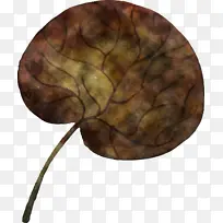 水彩画秋天 水彩画叶子 彩色叶子-空若网 水彩画秋天 水彩画叶子 彩色叶子-空若网