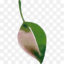 Ë®²Ê»ÇïÌì Ë®²Ê»Ò¶×Ó ²ÊɫҶ×Ó-¿ÕÈôÍø Ë®²Ê»ÇïÌì Ë®²Ê»Ò¶×Ó ²ÊɫҶ×Ó-¿ÕÈôÍø