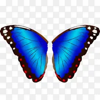 ˮ�ʻ� ���� ʪī-������