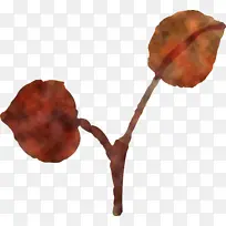 Ë®²Ê»ÇïÌì Ë®²Ê»Ò¶×Ó ²ÊɫҶ×Ó-¿ÕÈôÍø Ë®²Ê»ÇïÌì Ë®²Ê»Ò¶×Ó ²ÊɫҶ×Ó-¿ÕÈôÍø