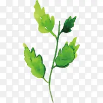 Ë®²Ê»ÇïÌì Ë®²Ê»ÇïÌìÒ¶×Ó Ë®²Ê»Ò¶×Ó-¿ÕÈôÍø Ë®²Ê»ÇïÌì Ë®²Ê»ÇïÌìÒ¶×Ó Ë®²Ê»Ò¶×Ó-¿ÕÈôÍø