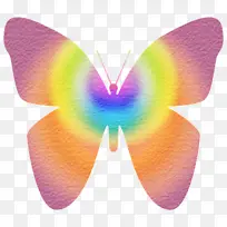 蝴蝶 昆虫 翅膀-空若网 蝴蝶 昆虫 翅膀-空若网