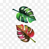 蔬菜 水果-空若网 蔬菜 水果-空若网