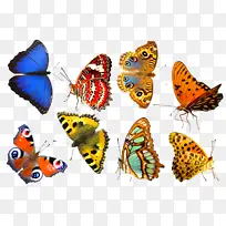 À¥³æ ëÈ×È׵ĺûµû ·É¶ê-¿ÕÈôÍø À¥³æ ëÈ×È׵ĺûµû ·É¶ê-¿ÕÈôÍø