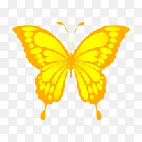 ºûµû À¥³æ Ä«ÄùÀÍ˹À¶ÐÎ̬-¿ÕÈôÍø ºûµû À¥³æ Ä«ÄùÀÍ˹À¶ÐÎ̬-¿ÕÈôÍø