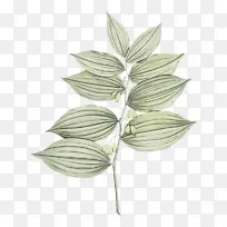 水彩 油漆 湿墨-空若网 水彩 油漆 湿墨-空若网