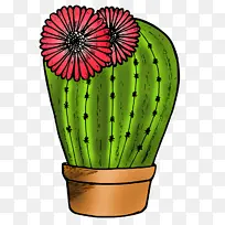 花 花盆 植物-空若网 花 花盆 植物-空若网